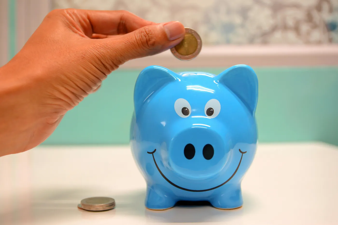 Renewal fund